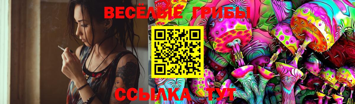 Галлюциногенные грибы Psilocybe Севастополь